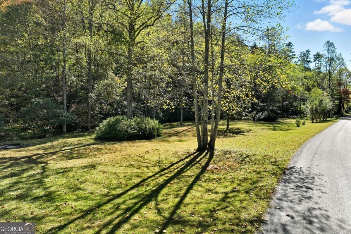 136 Ross Road Mineral Bluff - 50