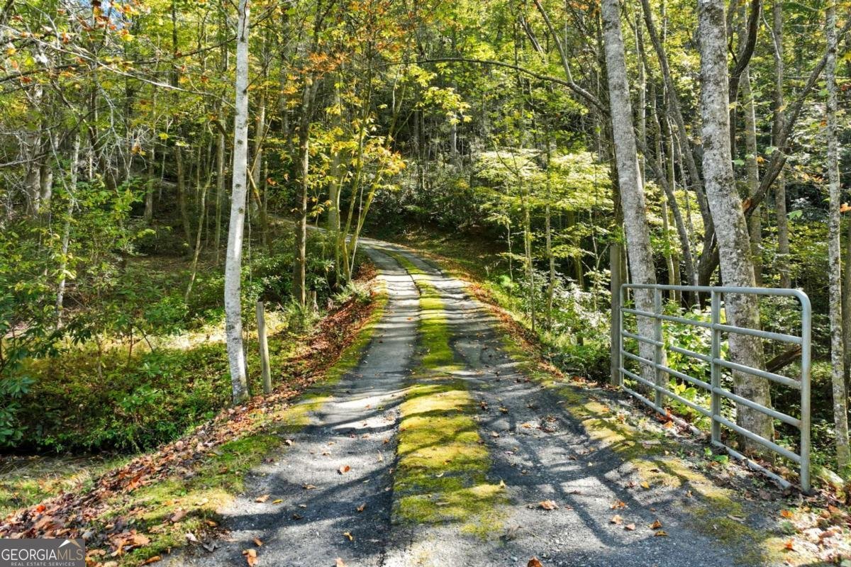 136 Ross Road Mineral Bluff - 6