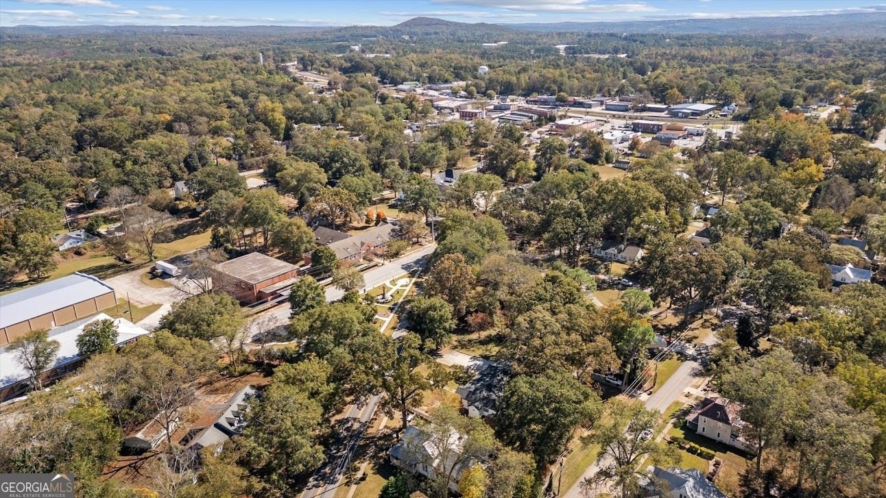 262 Bowdon Street Tallapoosa - 44