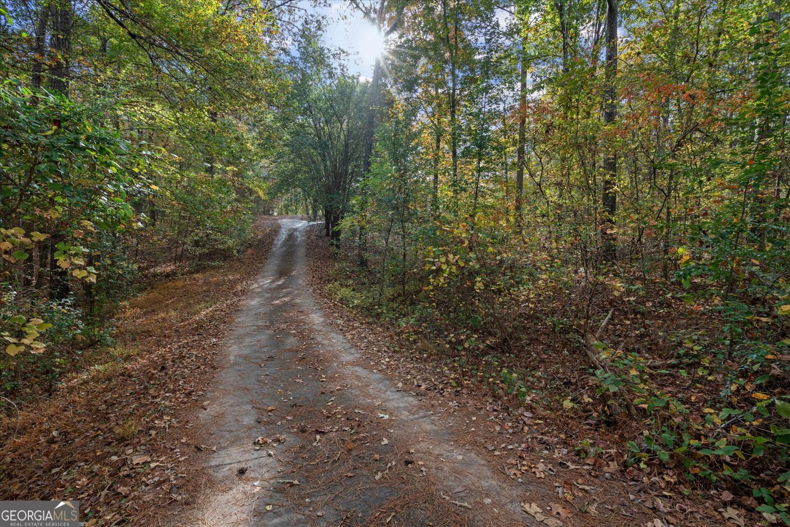 75 Mcdonald Road Tallapoosa - 47