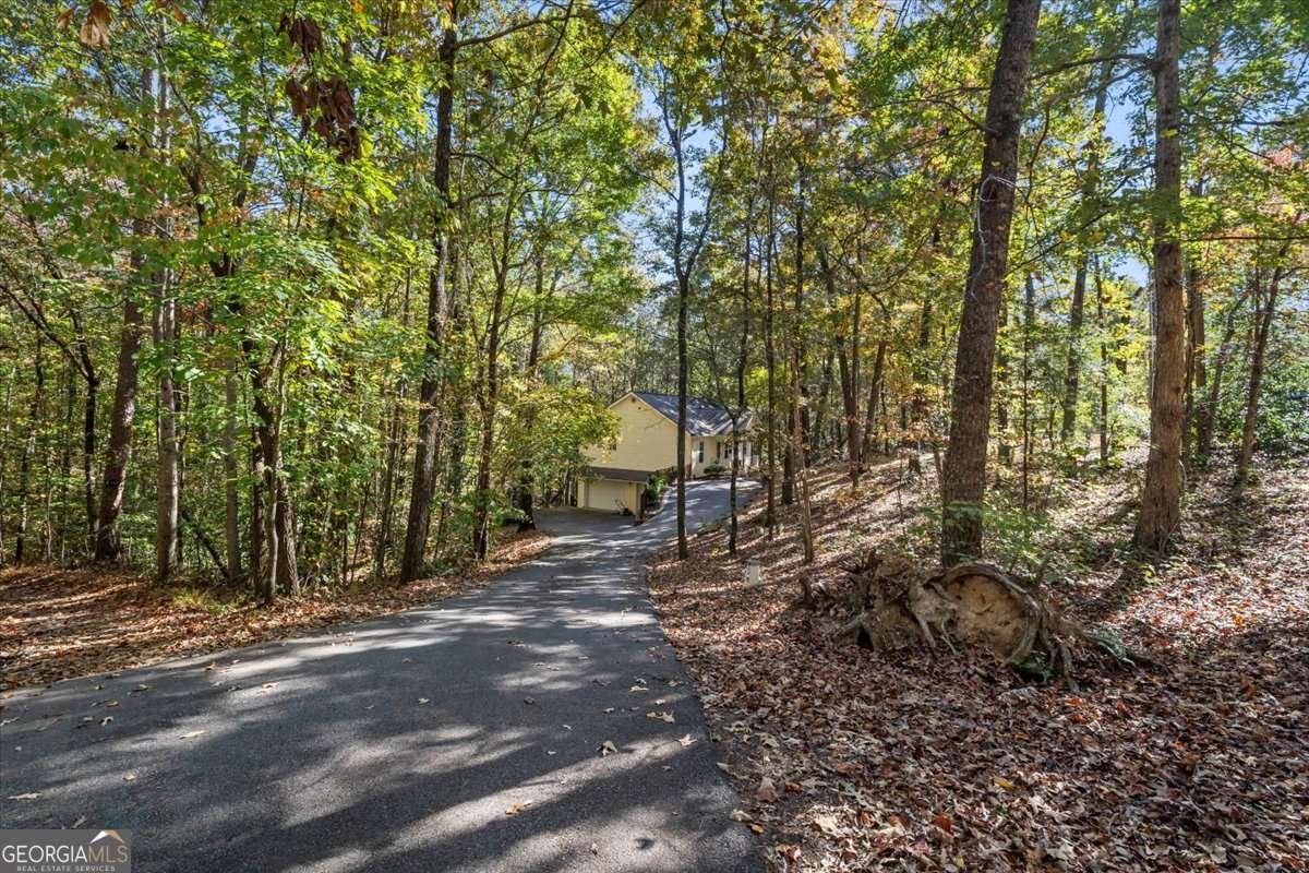 191 Sleepy Hollow Road Dahlonega - 5