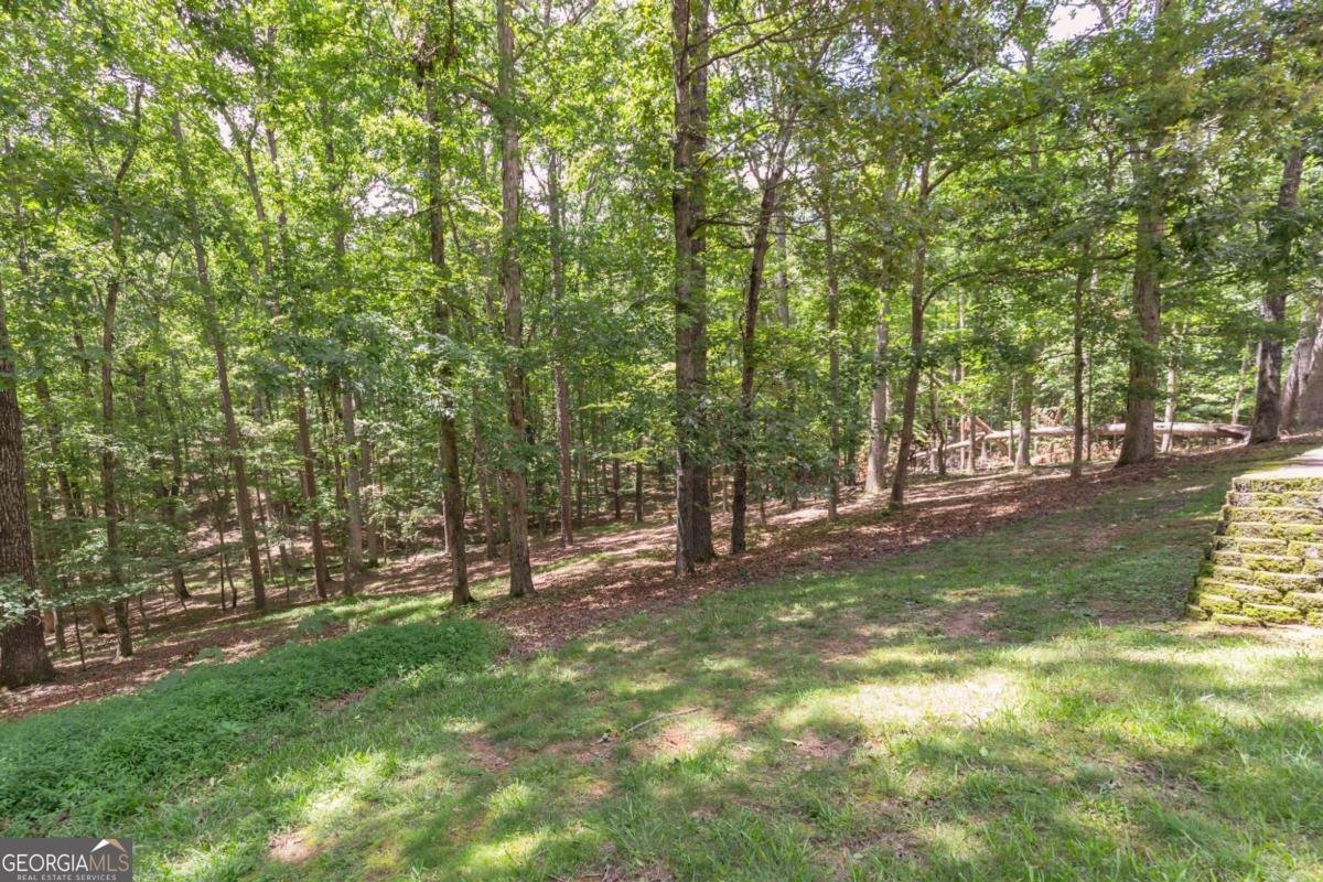 5581 Fox Glove Court Douglasville - 3