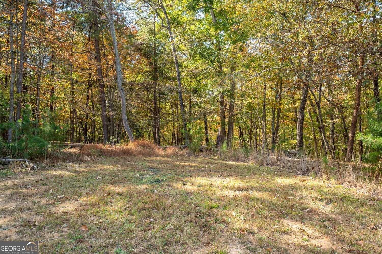 306 Travis Pless Road Alto - 29