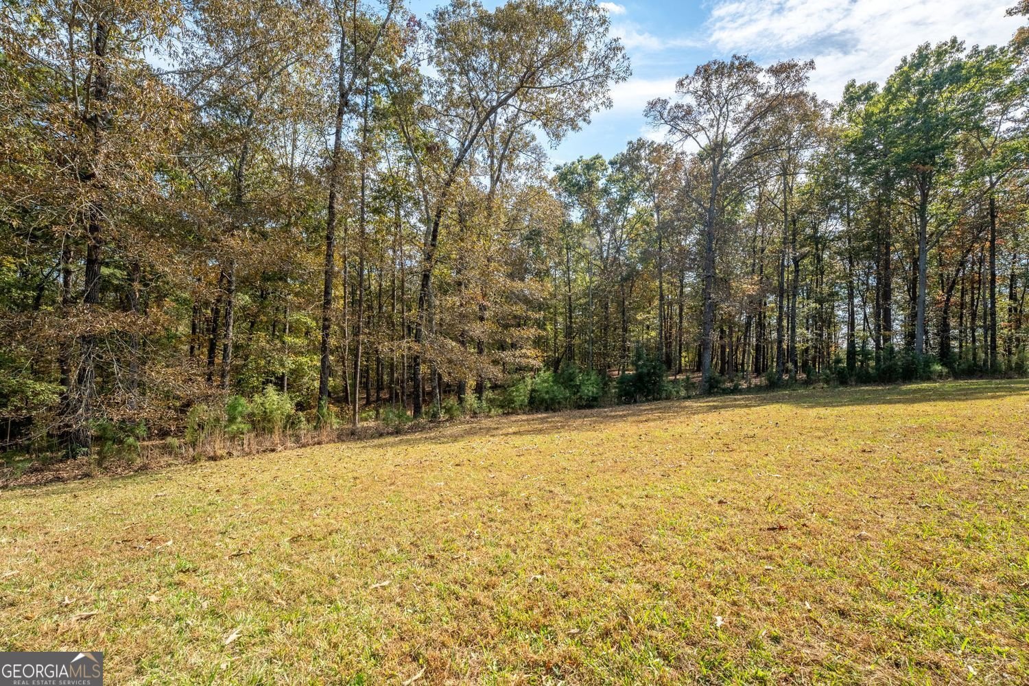 306 Travis Pless Road Alto - 32