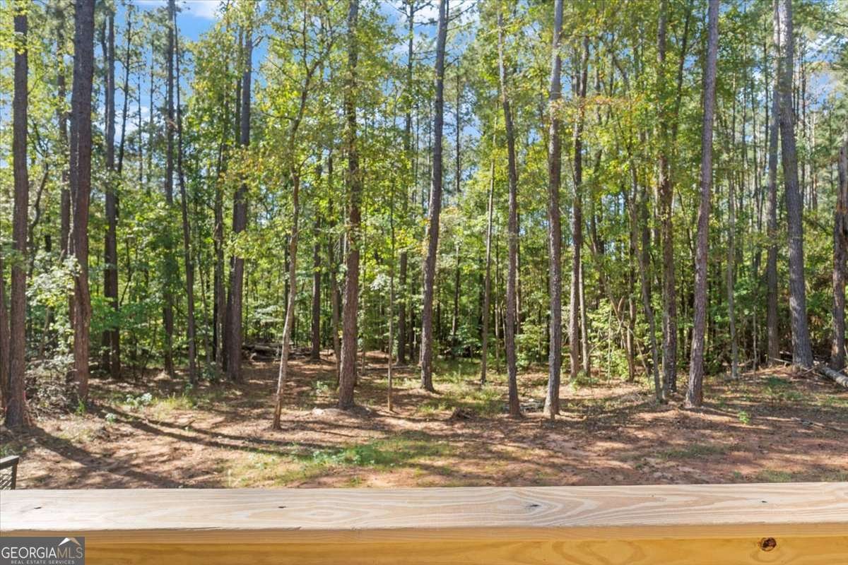 103 Bearcreek Road Eatonton - 23