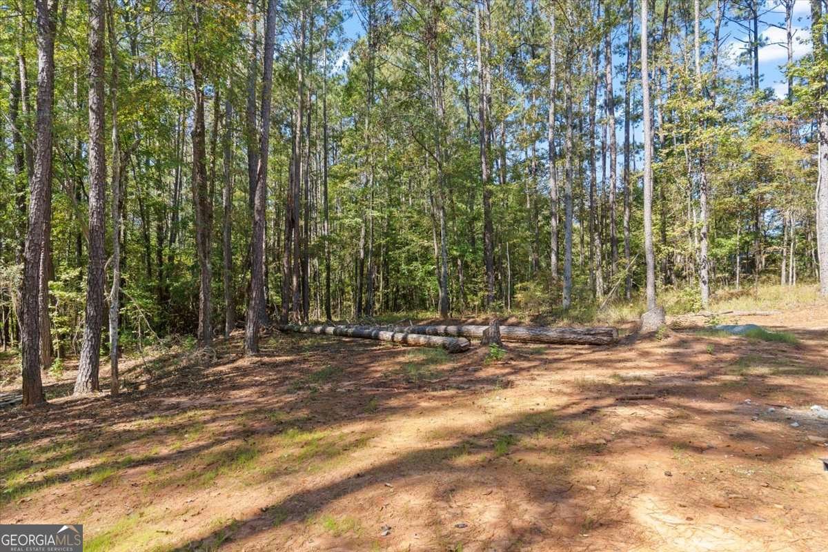 103 Bearcreek Road Eatonton - 25