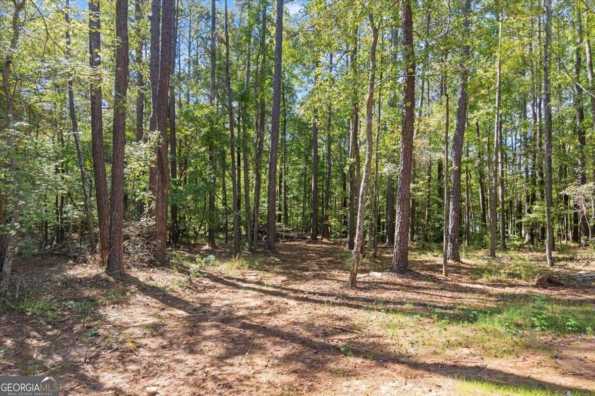 103 Bearcreek Road Eatonton - 28