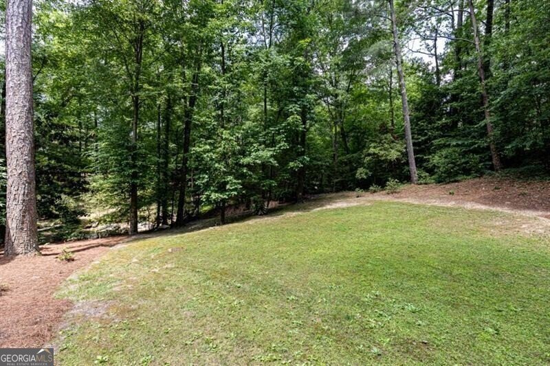 4421 Paradise Circle Vinings - 30