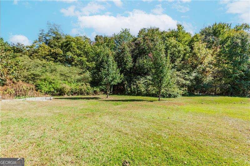 3408 Hamilton Mill Road Buford - 29