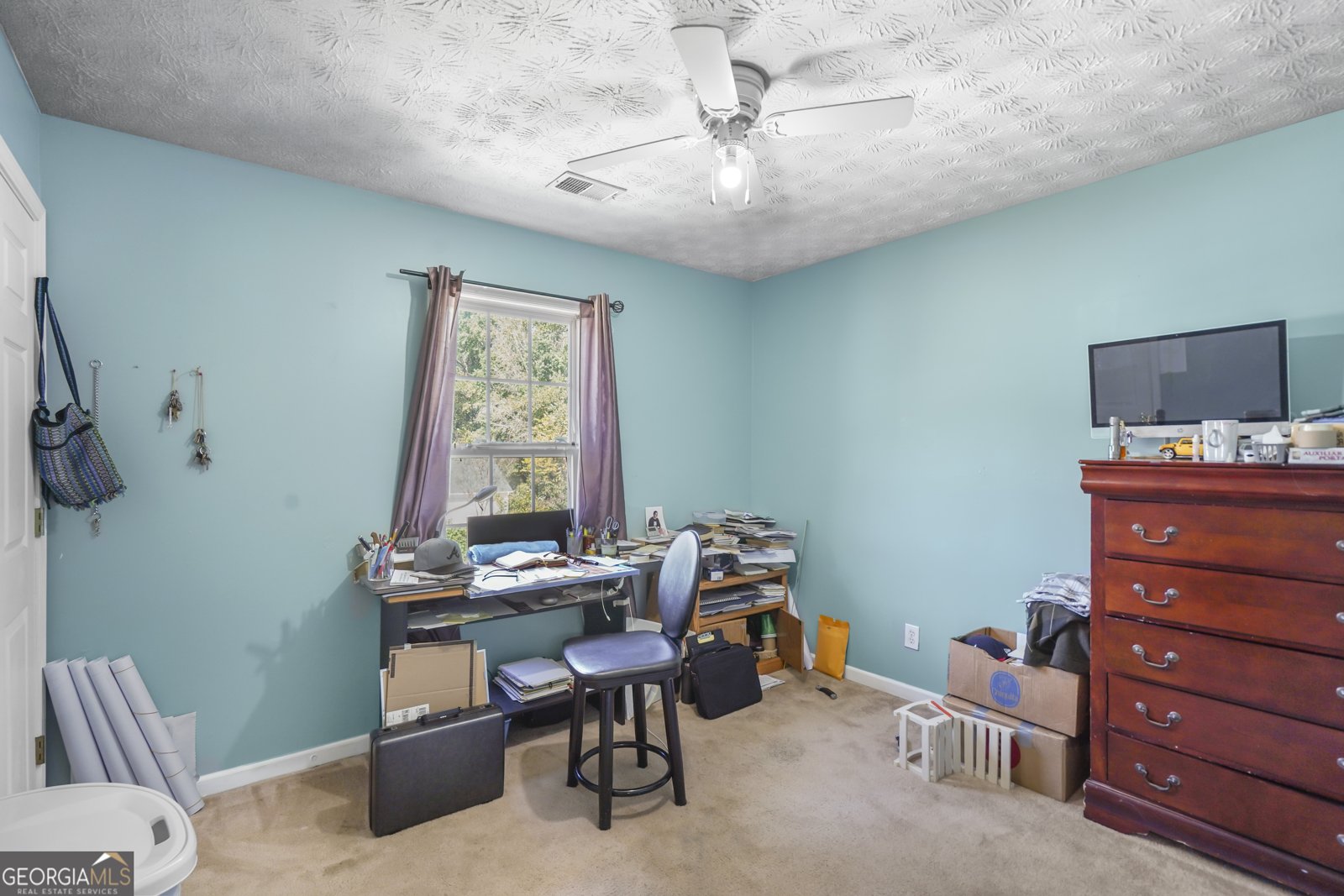 547 Hickeria Way Winder - 24