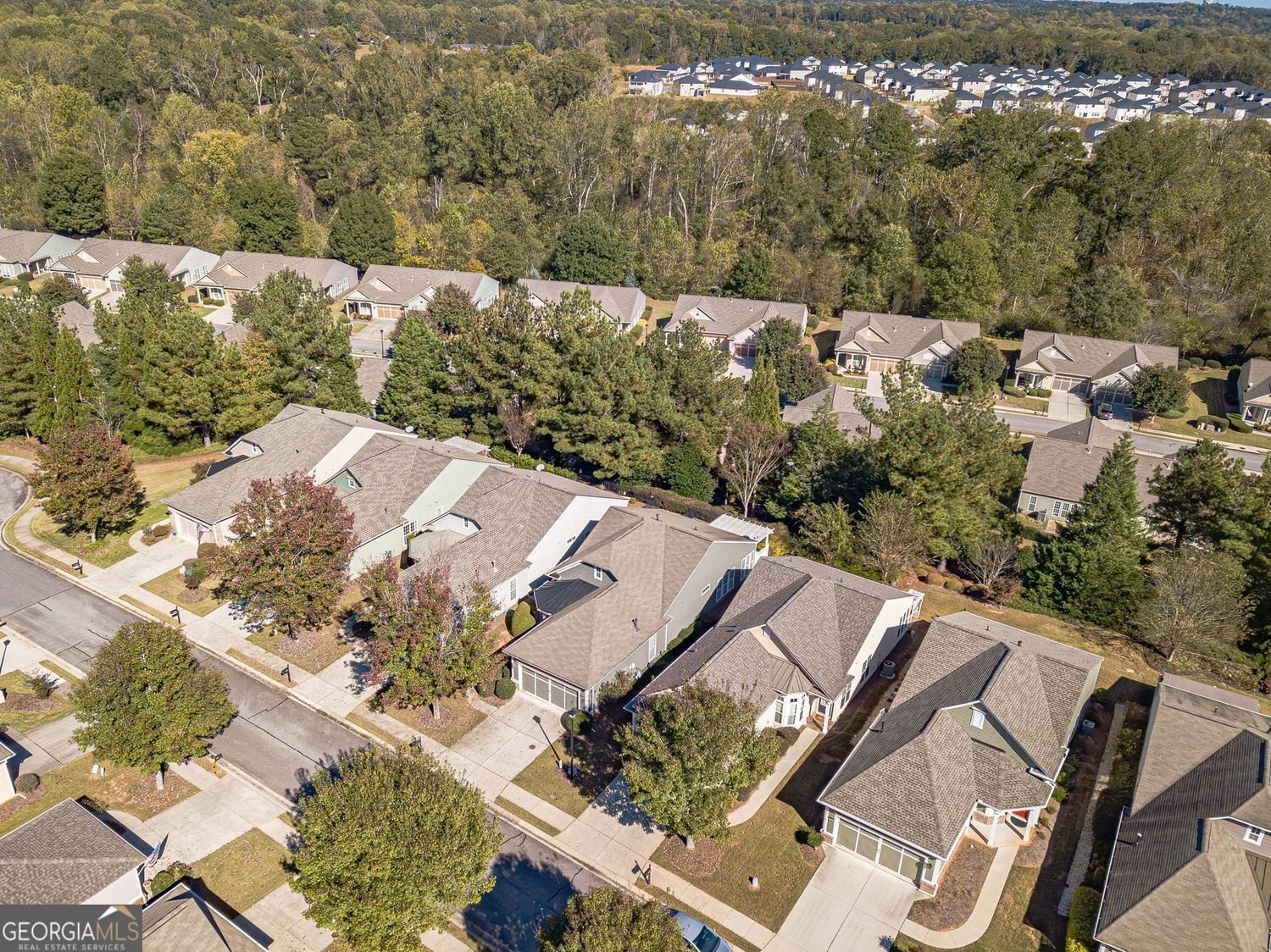 6288 Ivy Stone Way Hoschton - 39