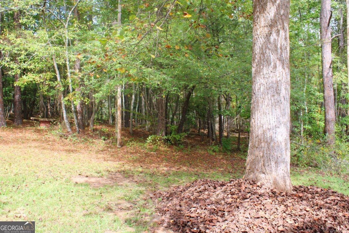 570 Old Driver Road Whitesburg - 25