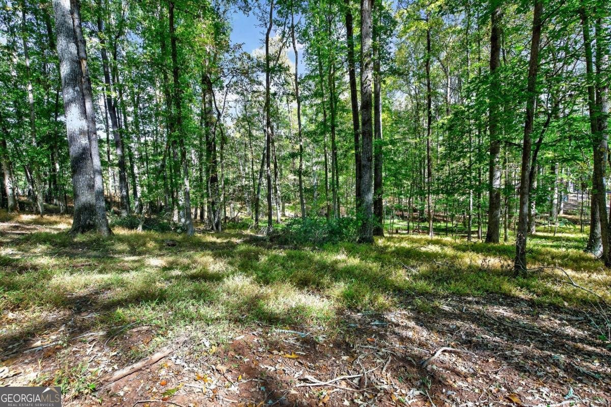 170 Forest Lake Drive Fayetteville - 37