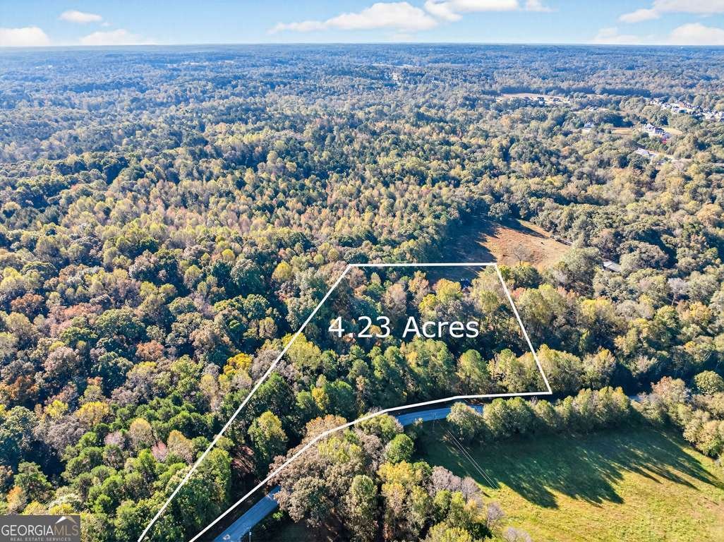 1238 Tapp Wood Road Hoschton - 2