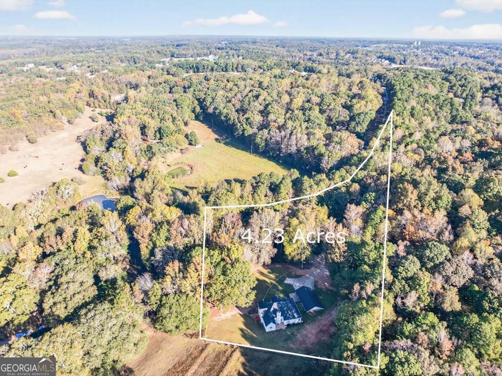 1238 Tapp Wood Road Hoschton - 50