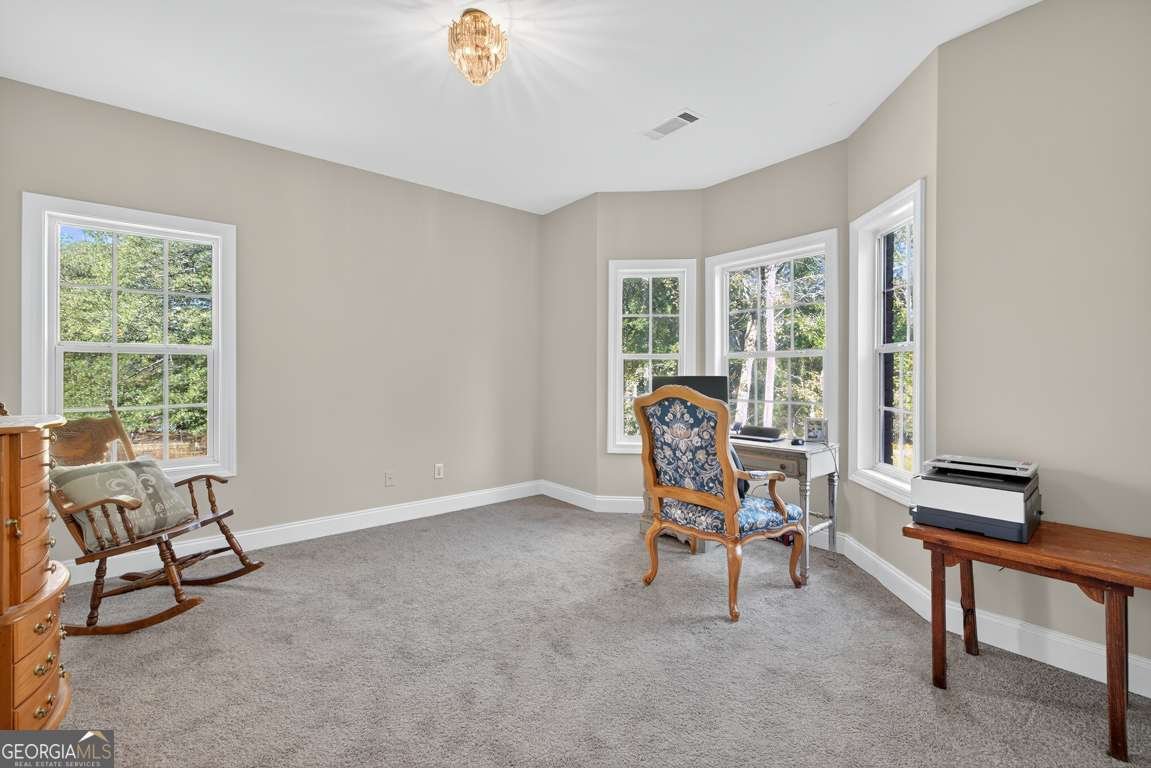 1238 Tapp Wood Road Hoschton - 6