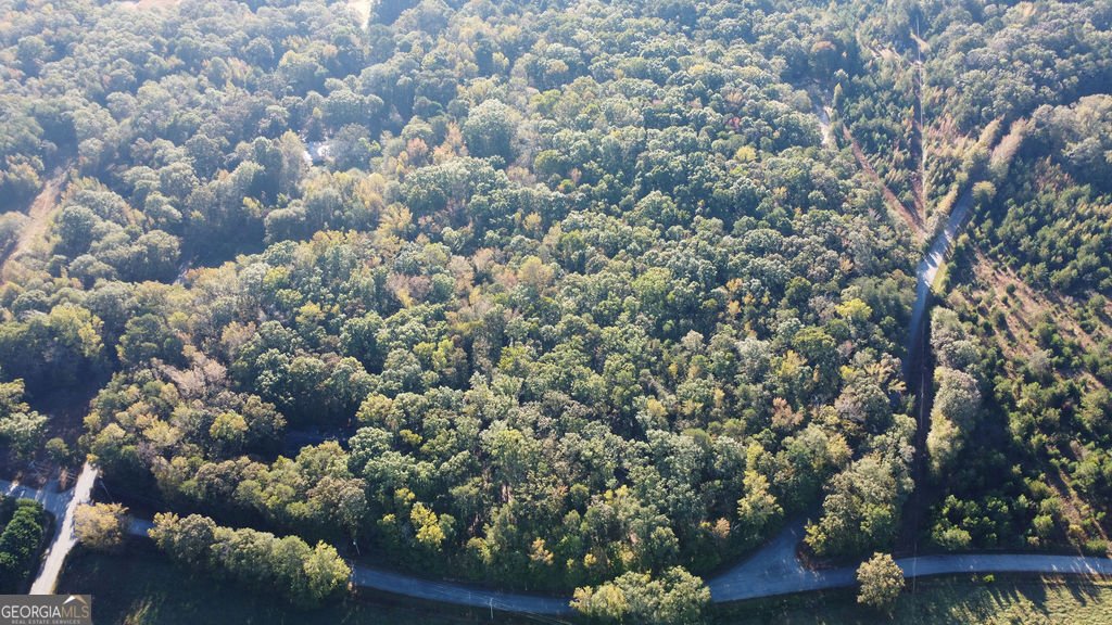 203 C P Hanks Road Iva - 33