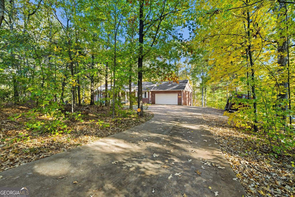 203 C P Hanks Road Iva - 4