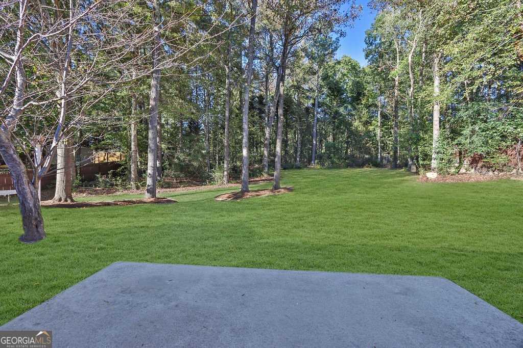 2566 Briar Valley Way Dacula - 12