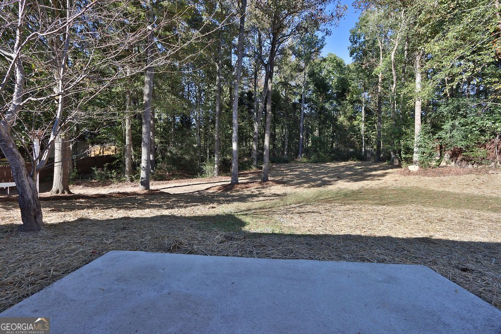 2566 Briar Valley Way Dacula - 36