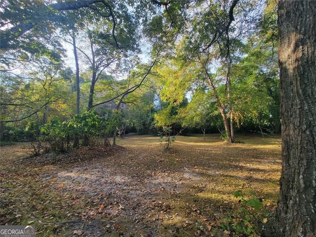 8633 Rose Avenue Douglasville - 40