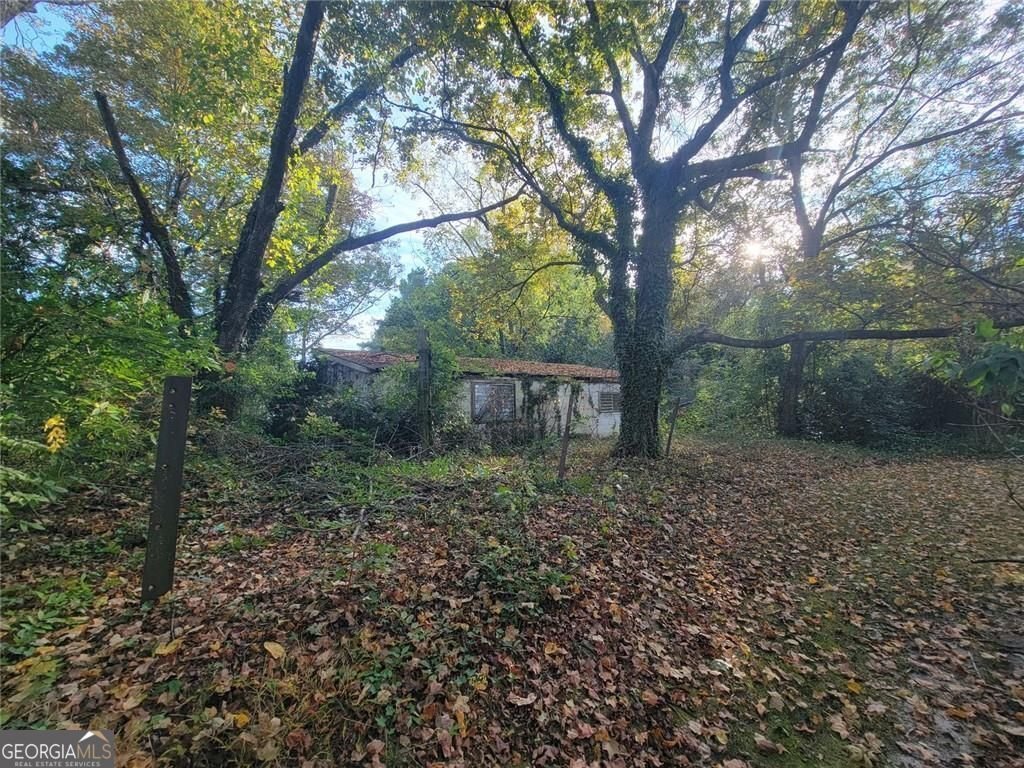 8633 Rose Avenue Douglasville - 41