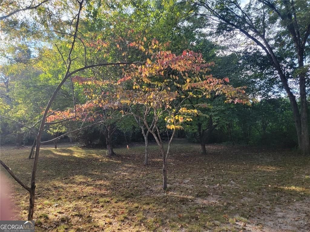 8633 Rose Avenue Douglasville - 44