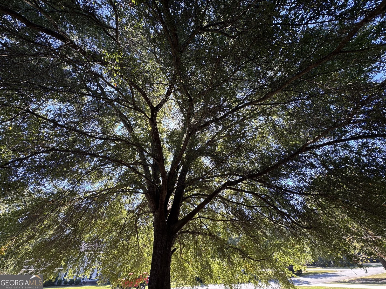 230 Ridge Circle Dublin - 6