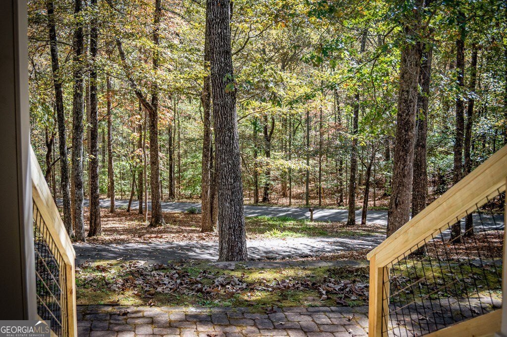 224 Timber Ridge Lane Ellijay - 11