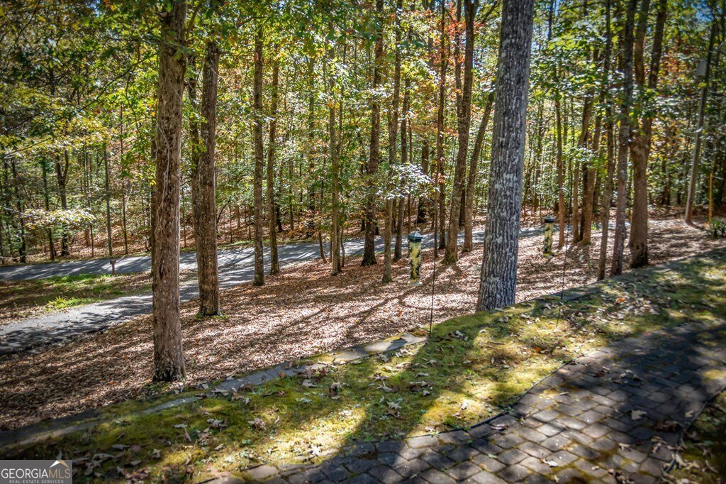 224 Timber Ridge Lane Ellijay - 57