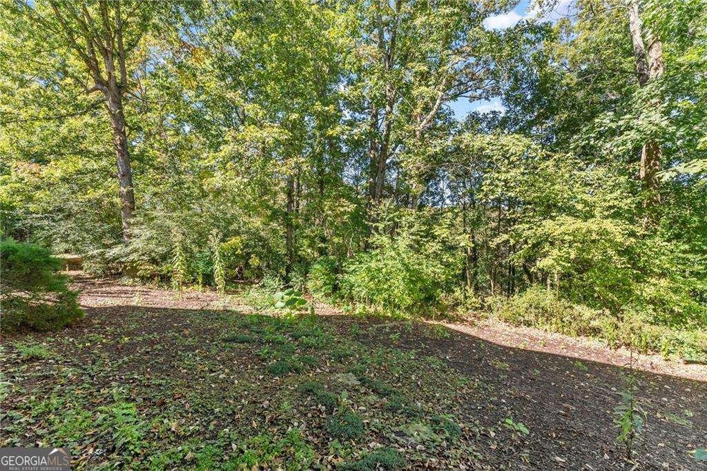 2450 Wild Iris Lane Dacula - 36