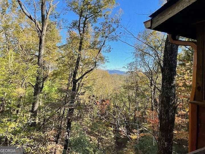 265 Hound Dog Lane Dahlonega - 23