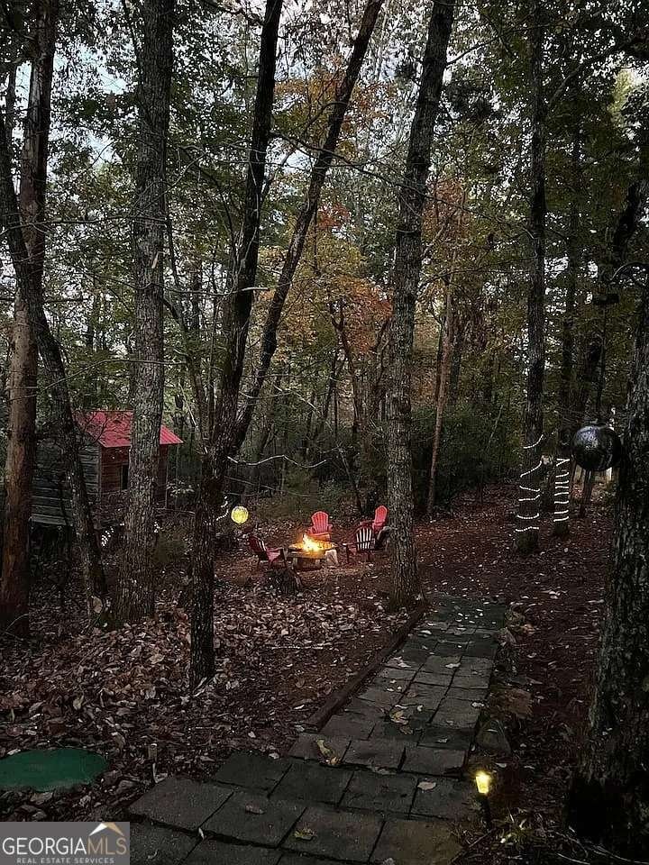 265 Hound Dog Lane Dahlonega - 41