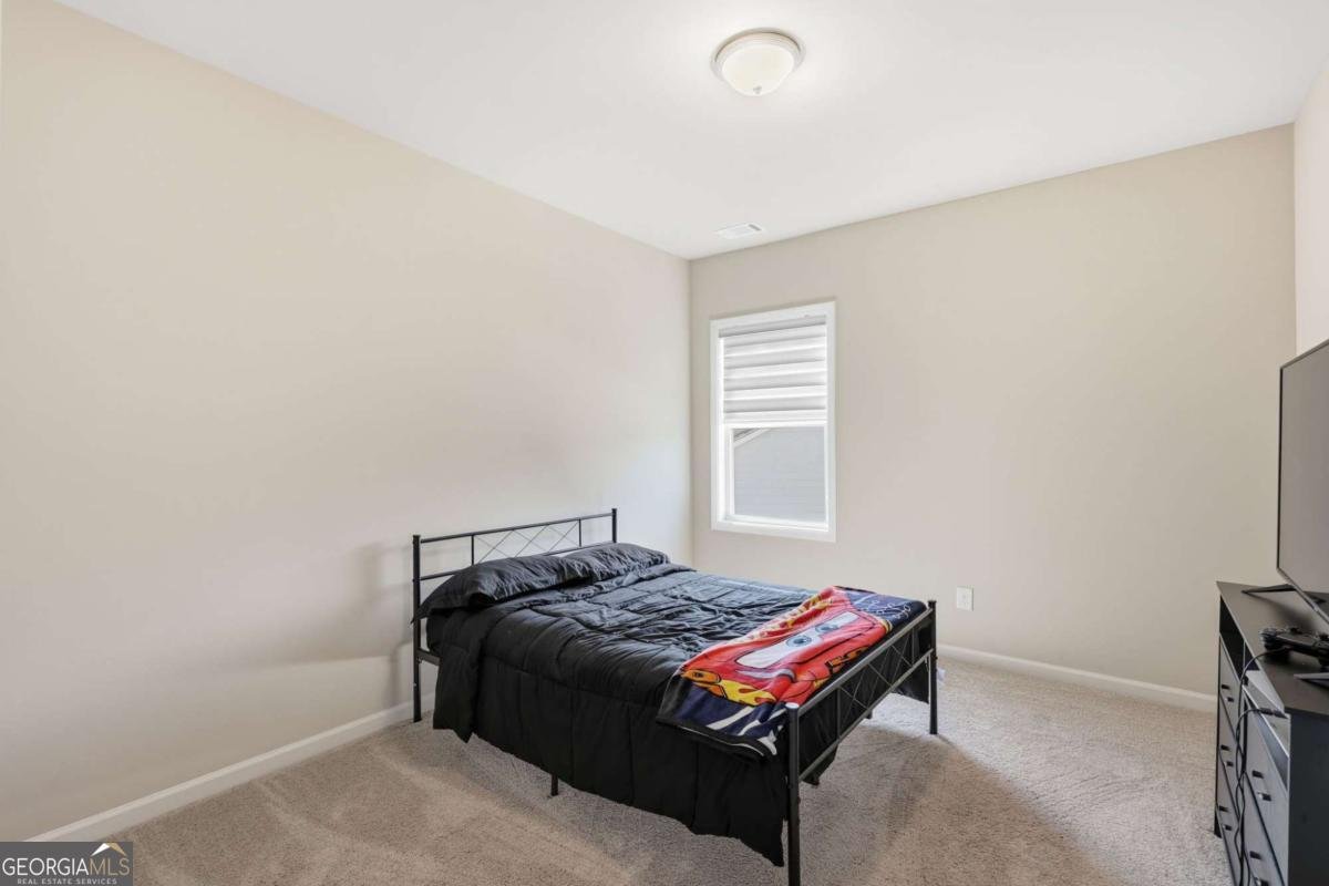 3247 Hawthorne Path Braselton - 29