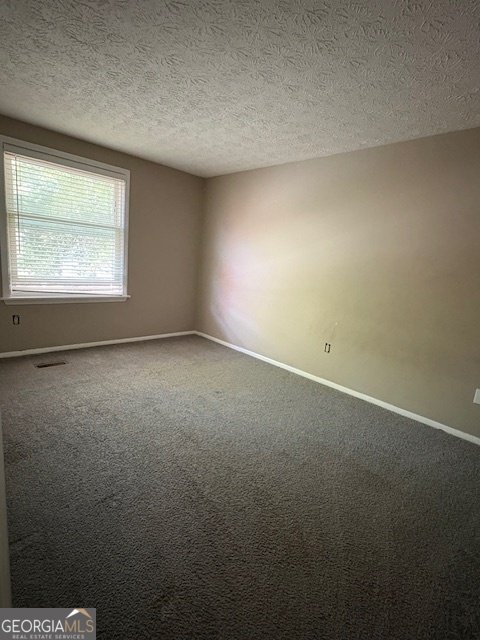 10415 Plantation Bridge Drive Alpharetta - 12