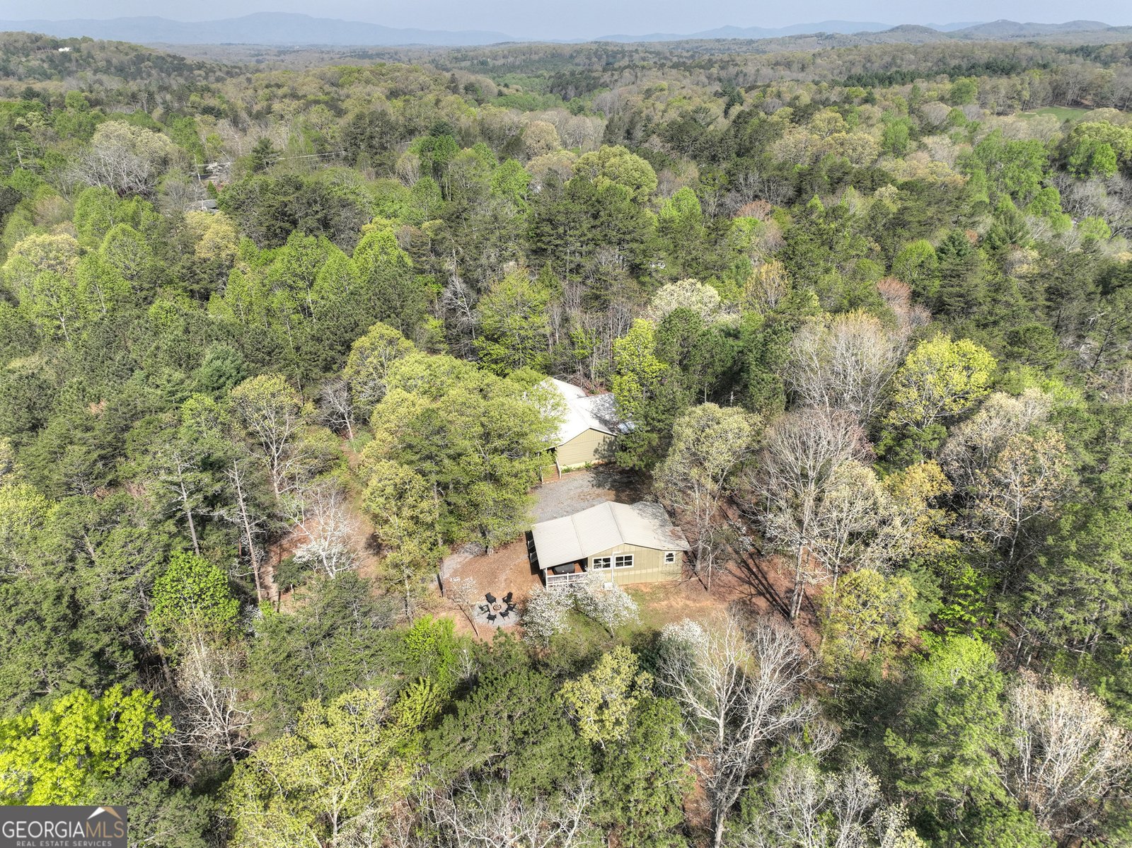 201 Parker Ridge Mineral Bluff - 14