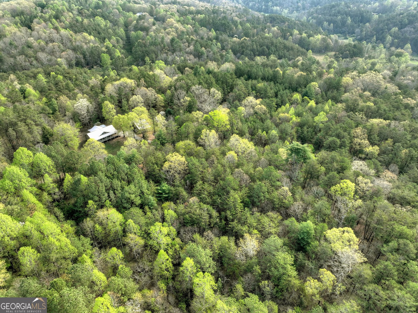 201 Parker Ridge Mineral Bluff - 16