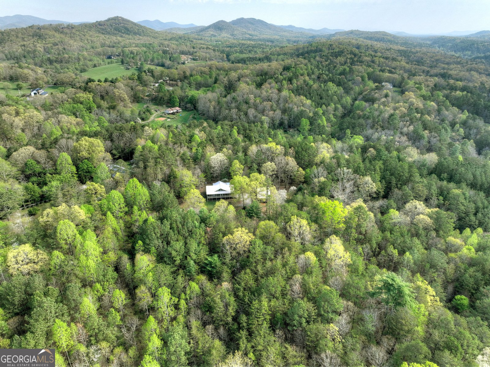 201 Parker Ridge Mineral Bluff - 17