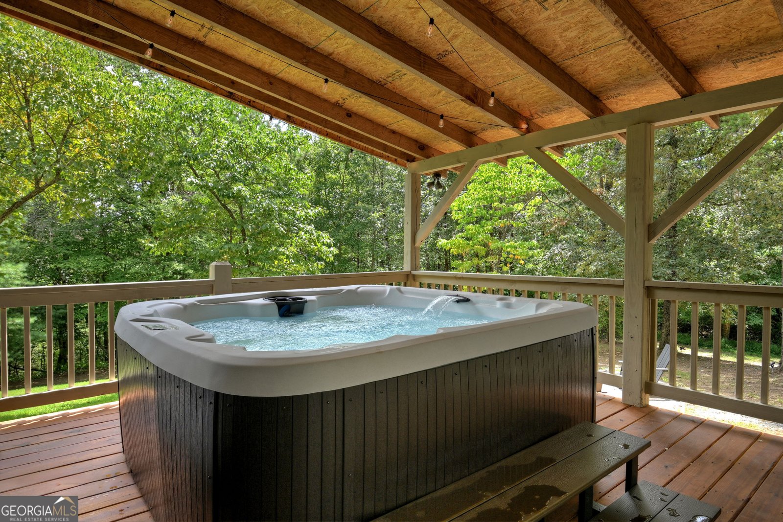 201 Parker Ridge Mineral Bluff - 9