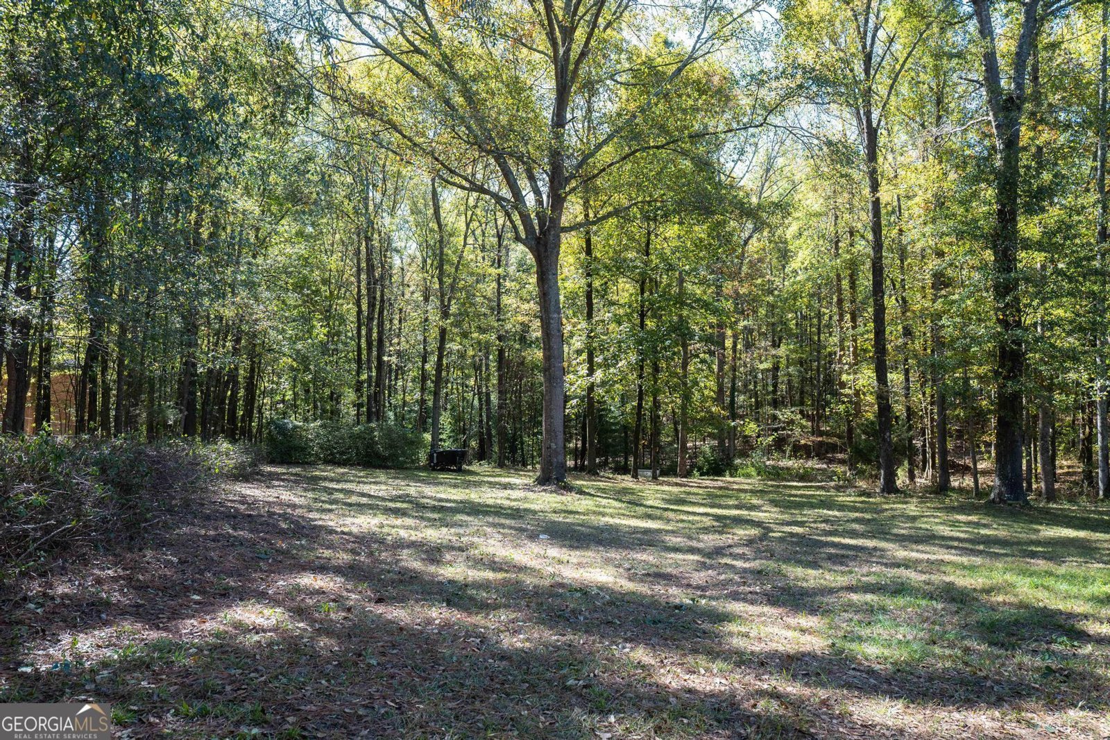 118 Weatherford Place Macon - 8