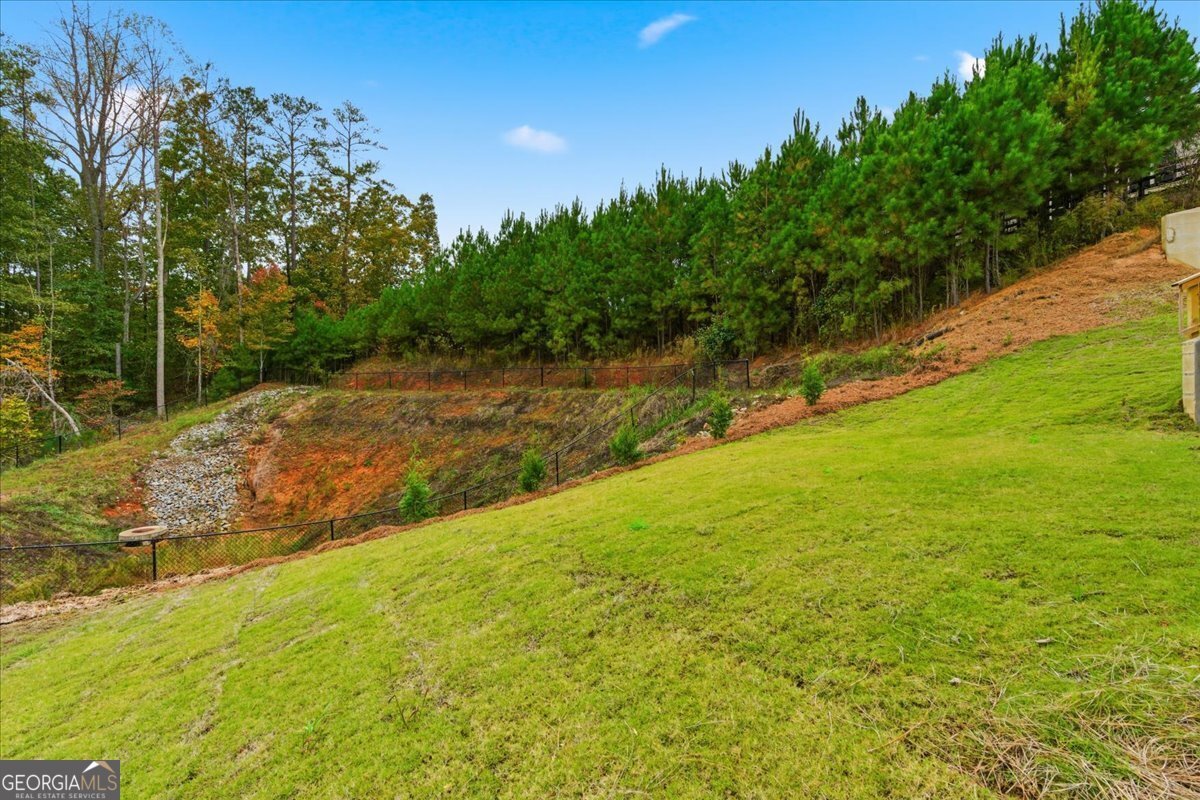 150 Azalea Crossing Dallas - 48