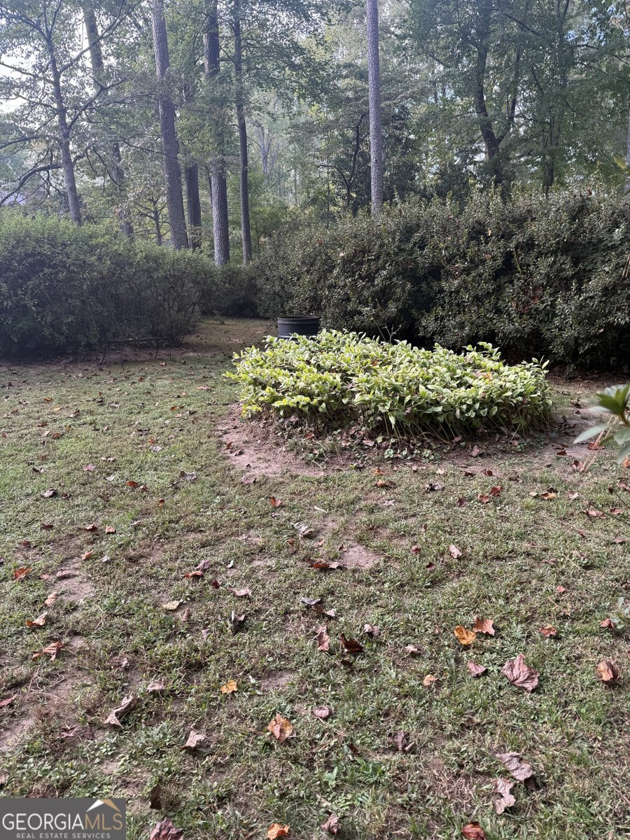 97 Club Circle Stockbridge - 29