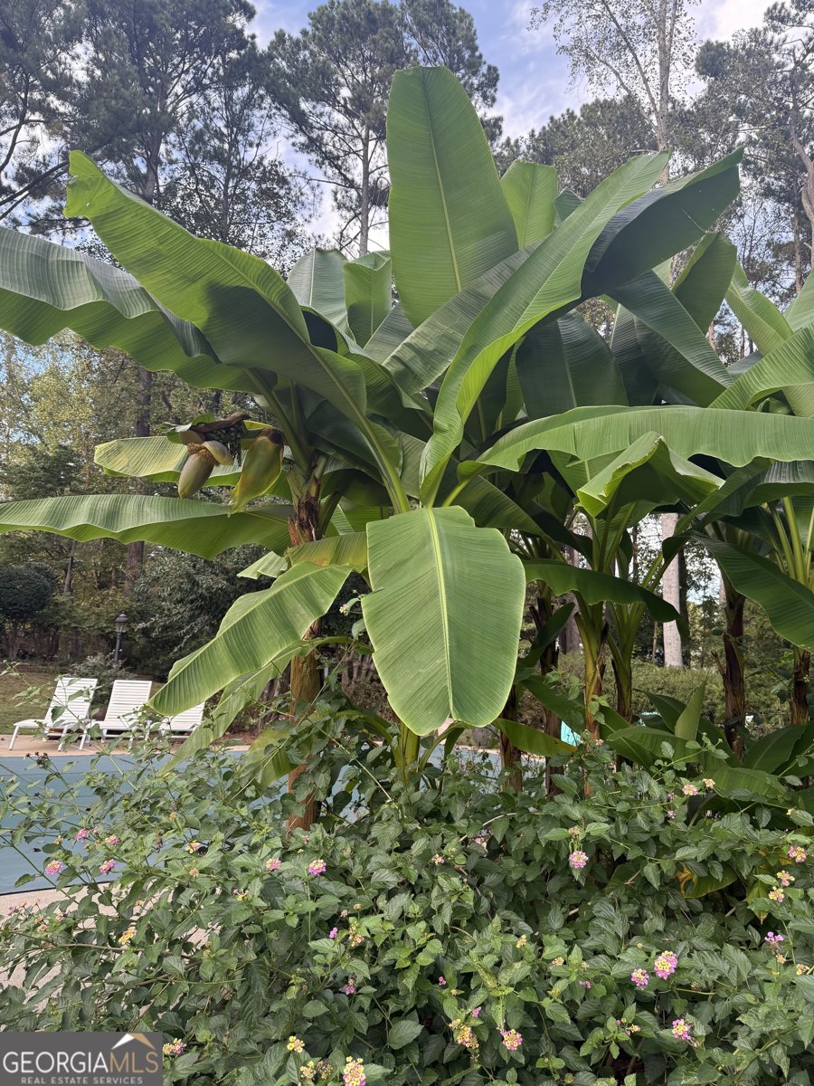 97 Club Circle Stockbridge - 53