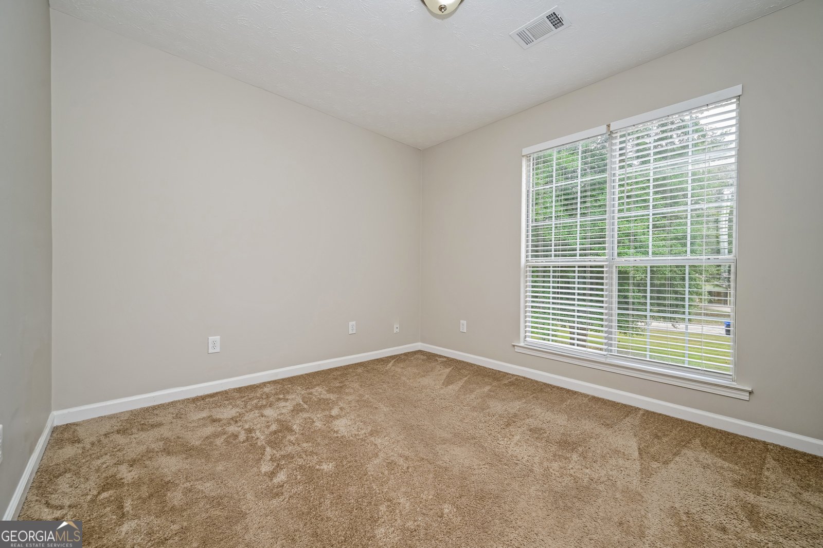 407 Victoria Place Drive Locust Grove - 15