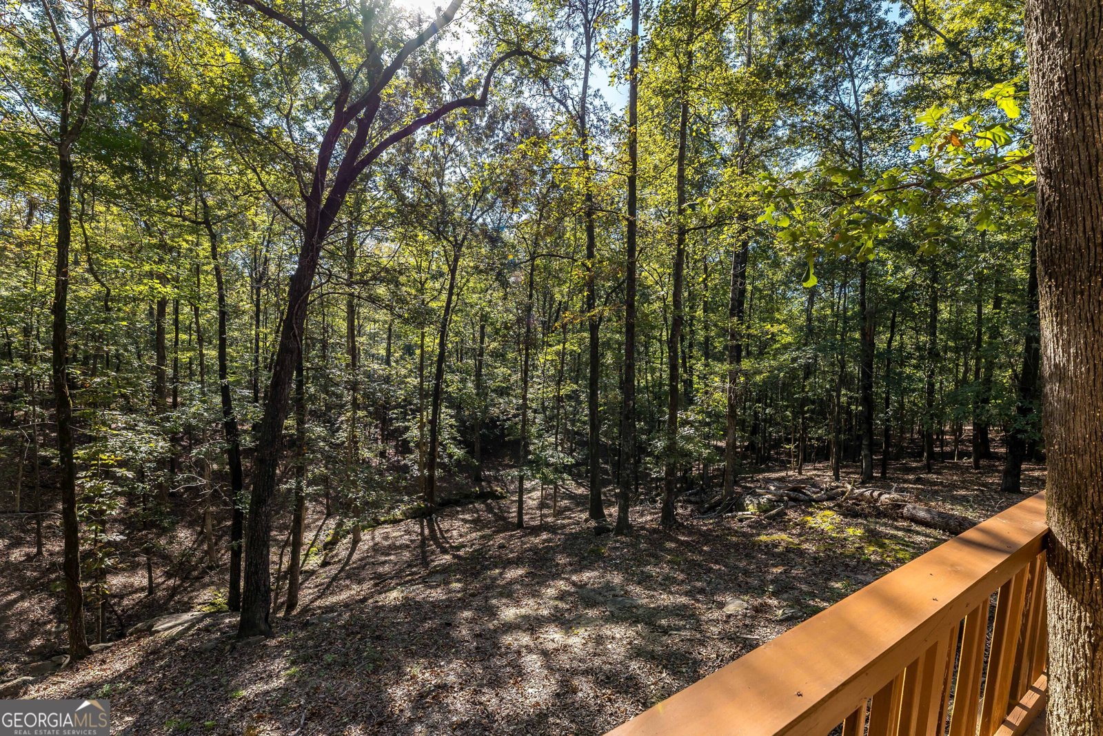 949 LEE ROAD 439 Road SALEM - 44