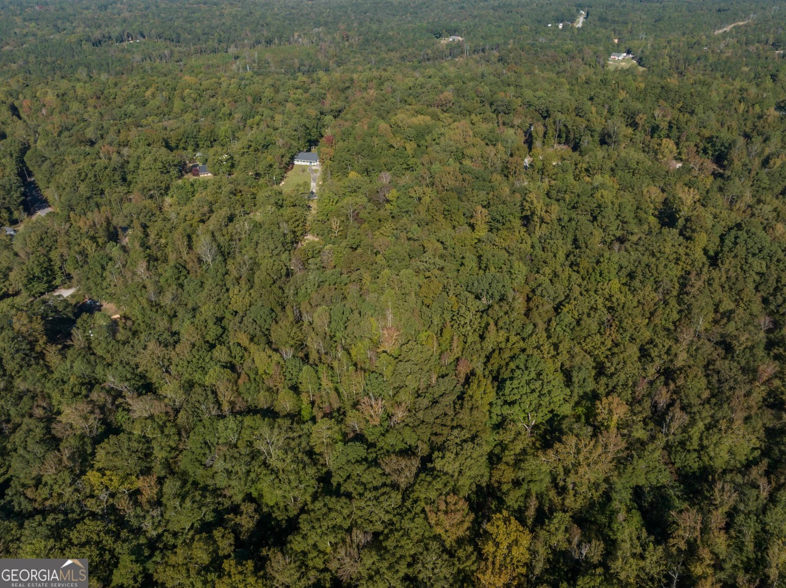 949 LEE ROAD 439 Road SALEM - 51