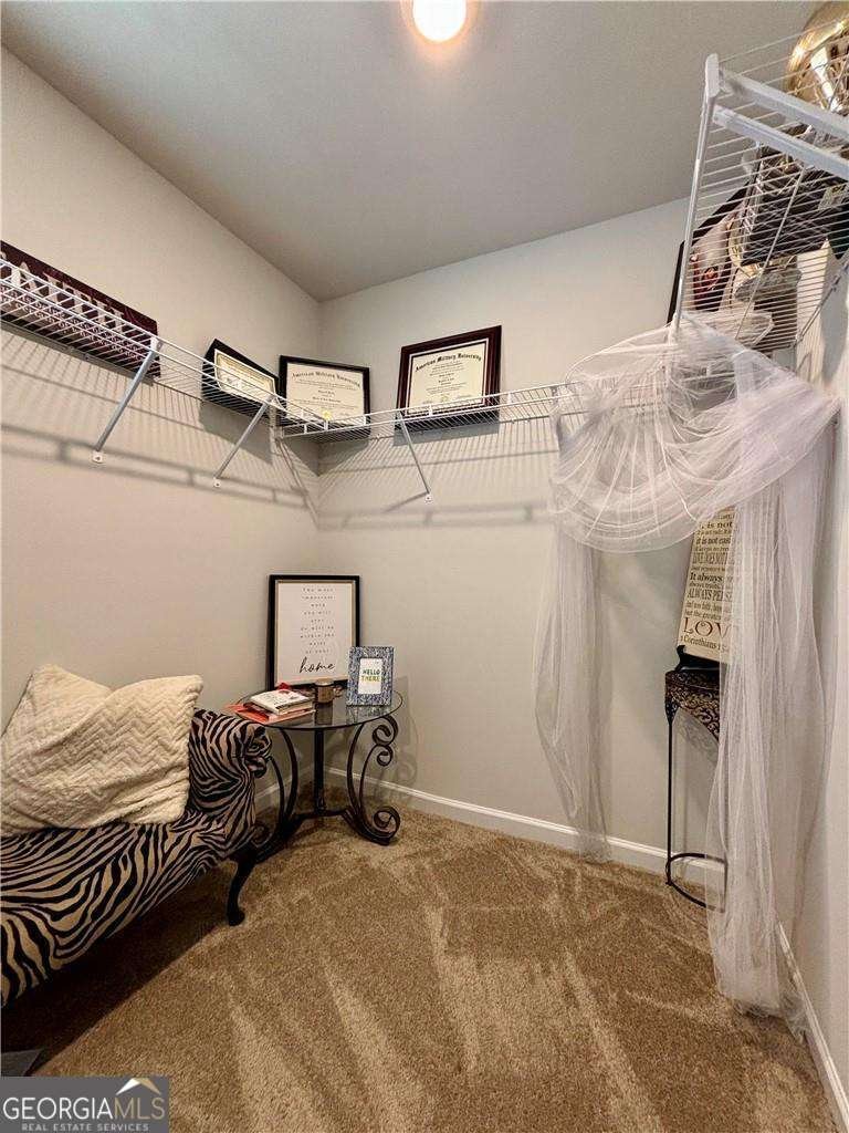 1367 Midnight Ride Court Hampton - 19