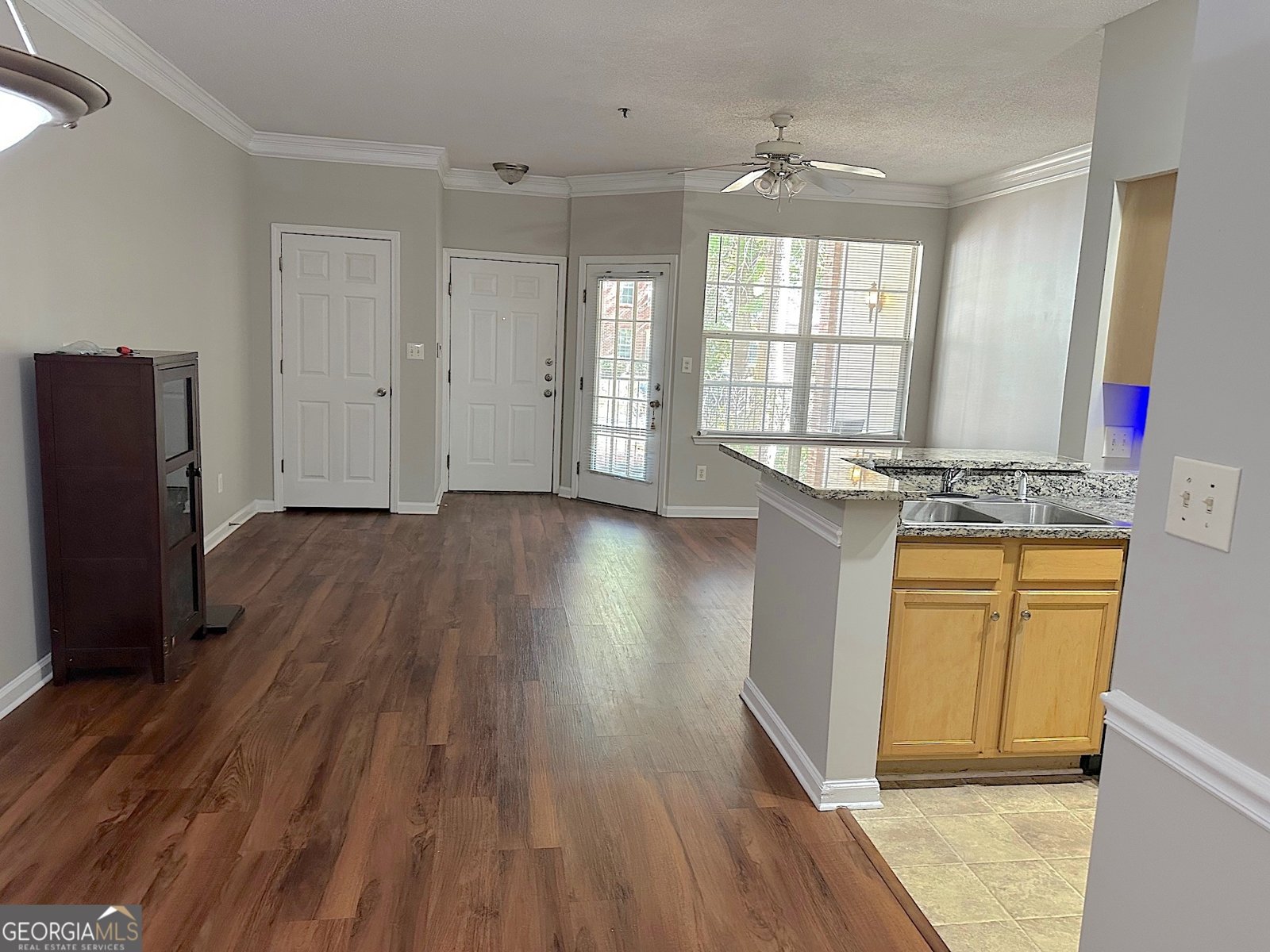 245 Amal Drive Atlanta - 5