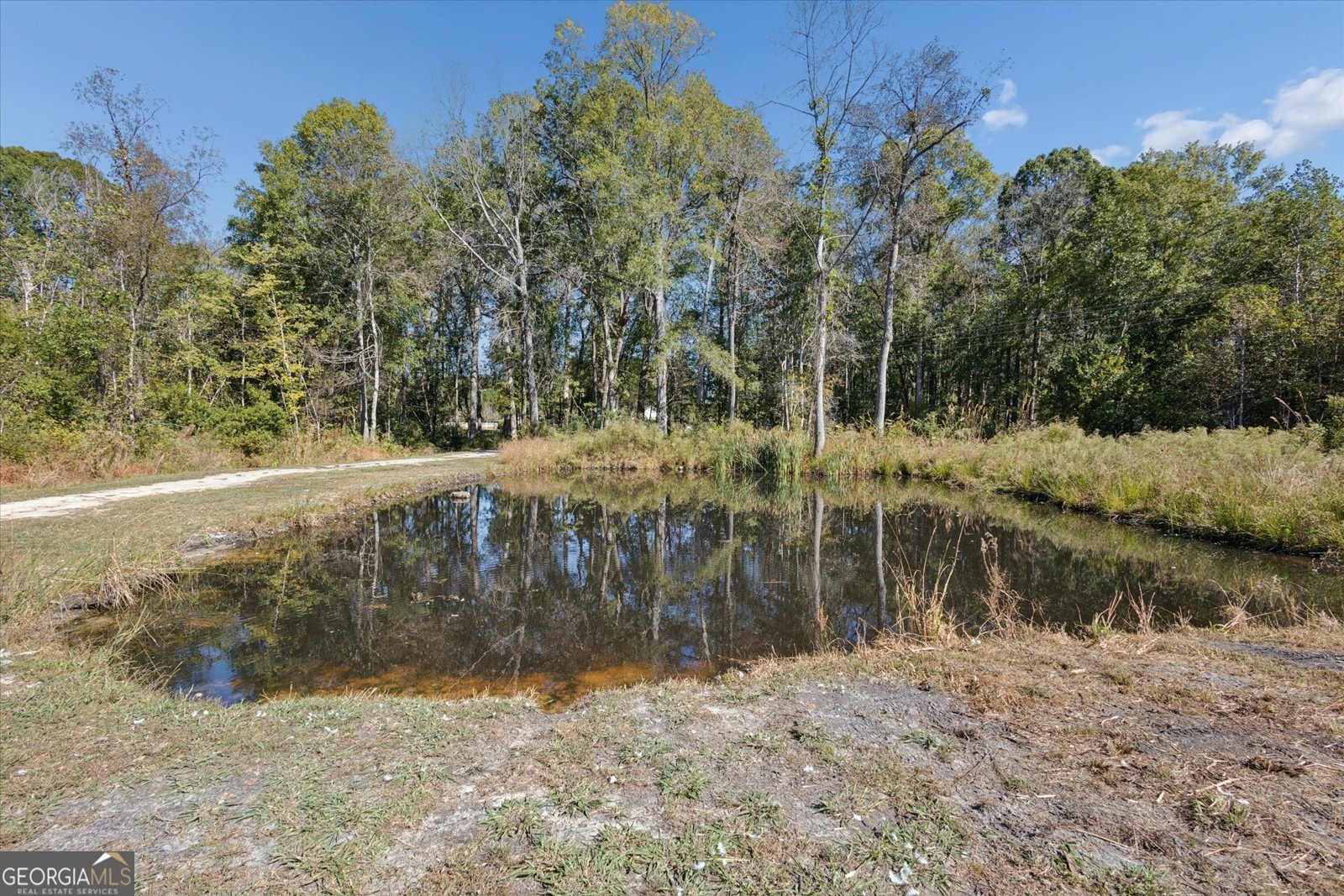 4031 Mud Road Brooklet - 7