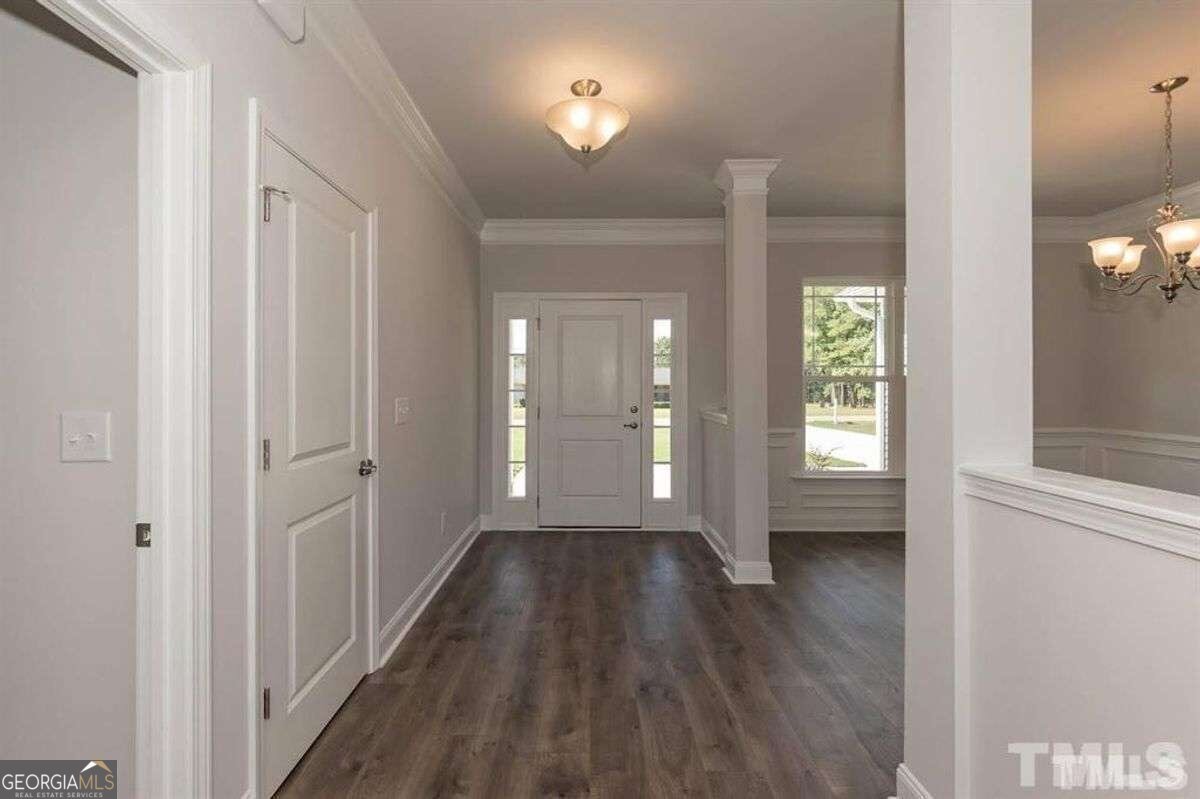 251 Eason Street Bowdon - 2